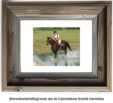 horseback riding near me in Lincolnton, North Carolina